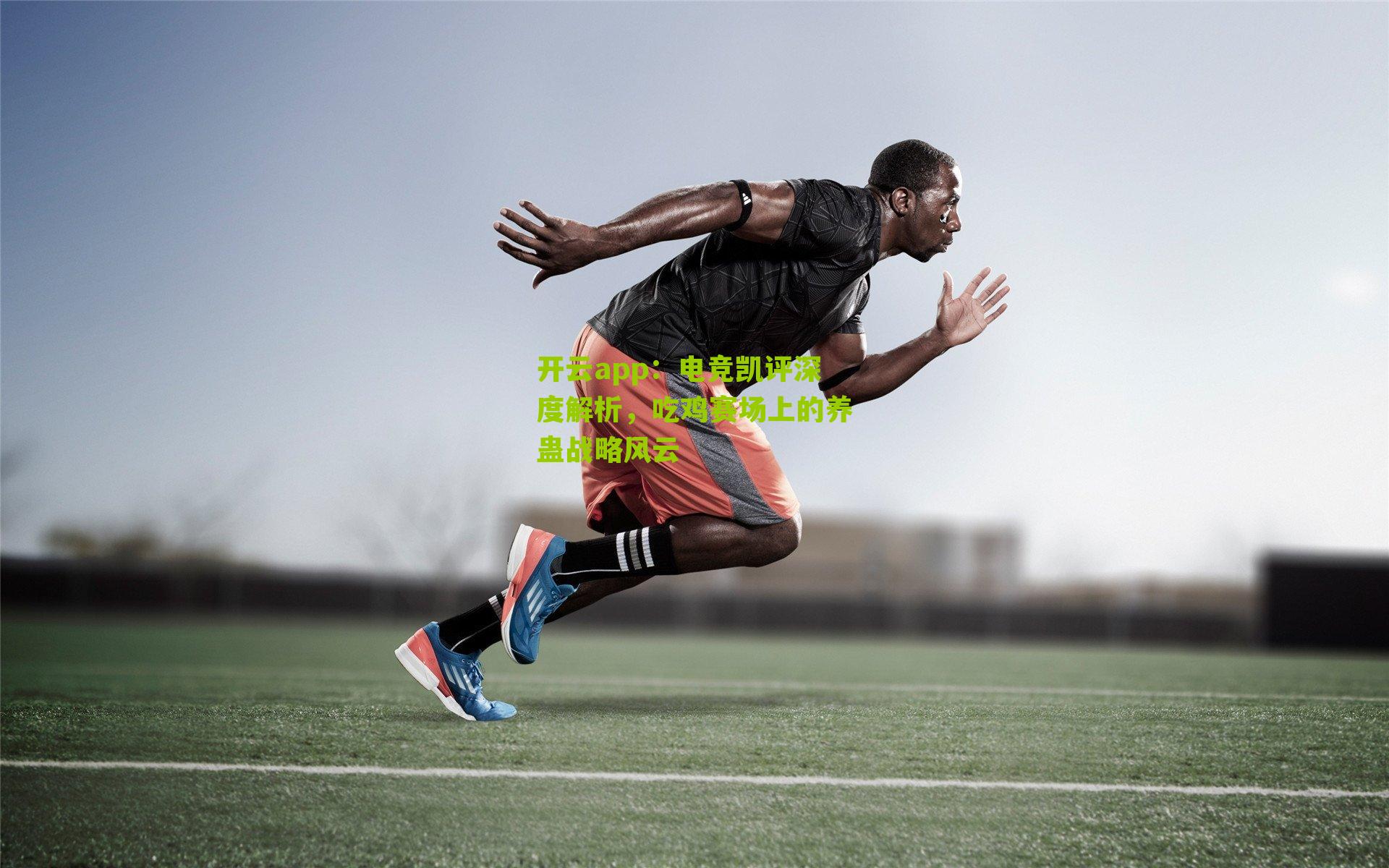 电竞凯评深度解析,吃鸡赛场上的养蛊战略风云